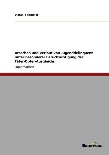 bokomslag Ursachen und Verlauf von Jugenddelinquenz unter besonderer Bercksichtigung des Tter-Opfer-Ausgleichs