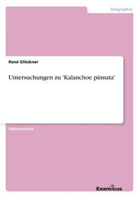 bokomslag Untersuchungen zu 'Kalanchoe pinnata'