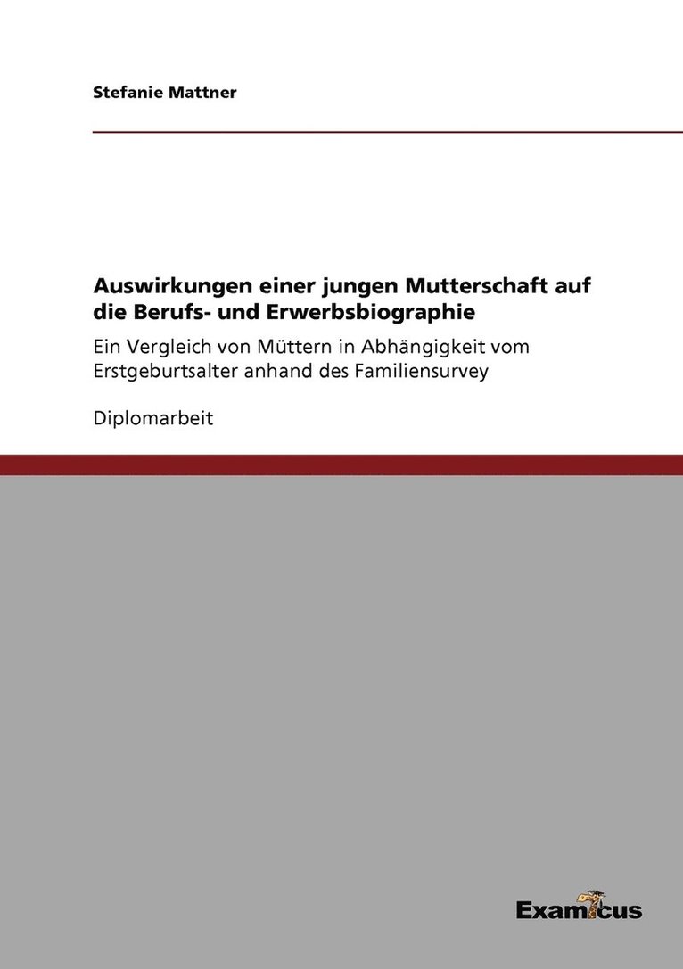 Stefanie Mattner - Auswirkungen einer jungen Mutterschaft auf die Berufs- und Erwerbsbiographie, Häftad