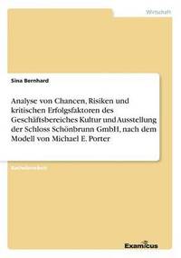 bokomslag Analyse von Chancen, Risiken und kritischen Erfolgsfaktoren des Geschftsbereiches Kultur und Ausstellung der Schloss Schnbrunn GmbH, nach dem Modell von Michael E. Porter