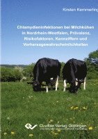 bokomslag Chlamydieninfektionen bei Milchkühen in Nordrhein-Westfalen, Prävalenz, Risikofaktoren, Kennziffern und Vorhersagewahrscheinlichkeiten