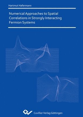 bokomslag Numerical Approaches to Spatial Correlations in Strongly Interacting Fermion Systems