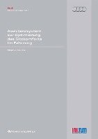 Stephan Lorenz - Assistenzsystem zur Optimierung des Sitzkomforts im Fahrzeug, Häftad