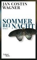 Sommer bei Nacht 1