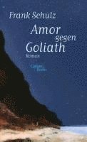 bokomslag Amor gegen Goliath