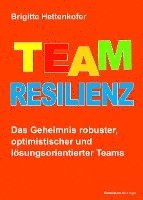 bokomslag Team-Resilienz