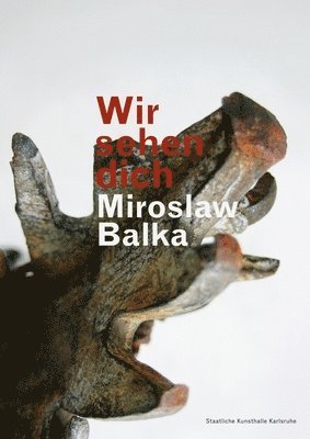 Miroslaw Balka