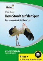 bokomslag Dem Storch auf der Spur