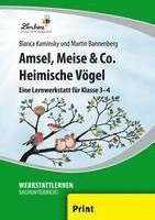bokomslag Amsel, Meise & Co: Heimische Vögel