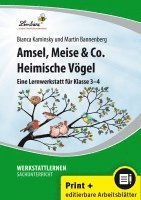 bokomslag Amsel, Meise & Co: Heimische Vögel