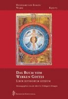 bokomslag Das Buch vom Wirken Gottes