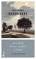 Wolfgang Herrndorf - Bilder deiner großen Liebe, Inbunden