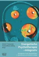 bokomslag Energetische Psychotherapie - integrativ