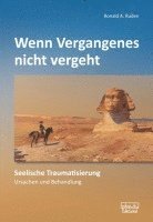 bokomslag Wenn Vergangenes nicht vergeht