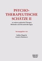 bokomslag Psychotherapeutische Schätze II