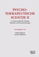 Steffen Fliegel, Annette Kämmerer - Psychotherapeutische Schätze II, Inbunden