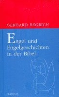 bokomslag Engel und Engelgeschichten in der Bibel