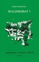 bokomslag Waldheimat 1