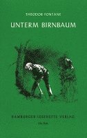 Theodor Fontane - Unterm Birnbaum, Häftad