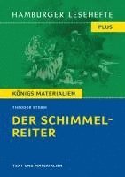 bokomslag Der Schimmelreiter