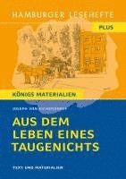 bokomslag Aus dem Leben eines Taugenichts