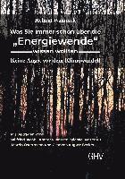 bokomslag Was Sie immer schon über die 'Energiewende' wissen wollten