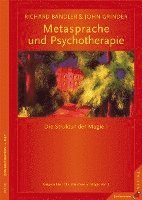 bokomslag Metasprache und Psychotherapie