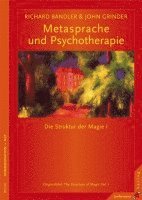 bokomslag Metasprache und Psychotherapie