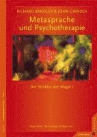 Metasprache und Psychotherapie