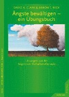 bokomslag Ängste bewältigen - ein Übungsbuch