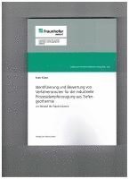 bokomslag Identifizierung und Bewertung von Verfahrensrouten für die industrielle Prozessdampferzeugung aus Tiefengeothermie