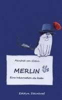 bokomslag Merlin