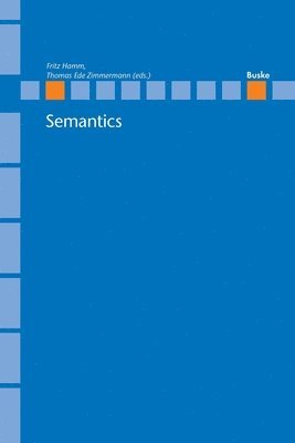 Fritz Hamm, Thomas E Zimmermann - Semantics, Häftad