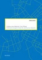 bokomslag Praktische Kurzgrammatik der ukrainischen Sprache