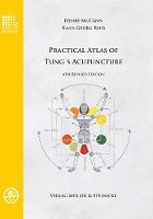 bokomslag Practical Atlas of Tung's Acupuncture