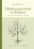 bokomslag Obstbaumschnitt in Bildern