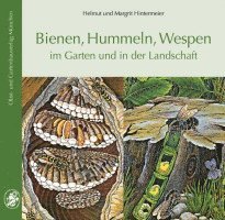 bokomslag Bienen, Hummeln, Wespen im Garten und in der Landschaft