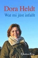 bokomslag Wat mi jüst infallt