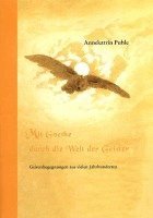 bokomslag Mit Goethe durch die Welt der Geister. Kurzfassung