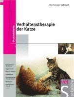 bokomslag Verhaltenstherapie der Katze