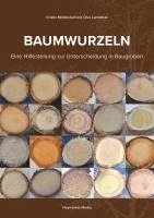 Baumwurzeln 1