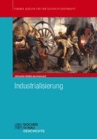Gerhard Henke-Bockschatz - Industrialisierung, Häftad