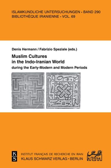 Fabrizio Speziale, Denis Hermann - Muslim Cultures in the Indo-Iranian World during the Early-Modern and Modern Periods, Häftad