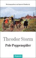 Theodor Storm, Ingwert jr Paulsen - Pole Poppenspäler, Häftad