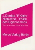 bokomslag Nietzsche - Politik des Eigennamens