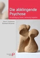 Jann Schlimme, Burkhart Brückner - Die abklingende Psychose, Inbunden