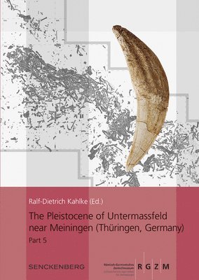 The Pleistocene of Untermassfeld near Meiningen (Thringen, Germany) 1