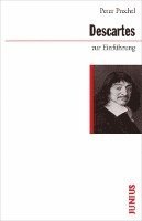 bokomslag Descartes zur Einführung