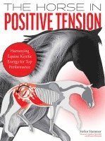 bokomslag The Horse in Positive Tension