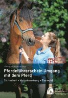 Pferdeführerschein Umgang mit dem Pferd 1